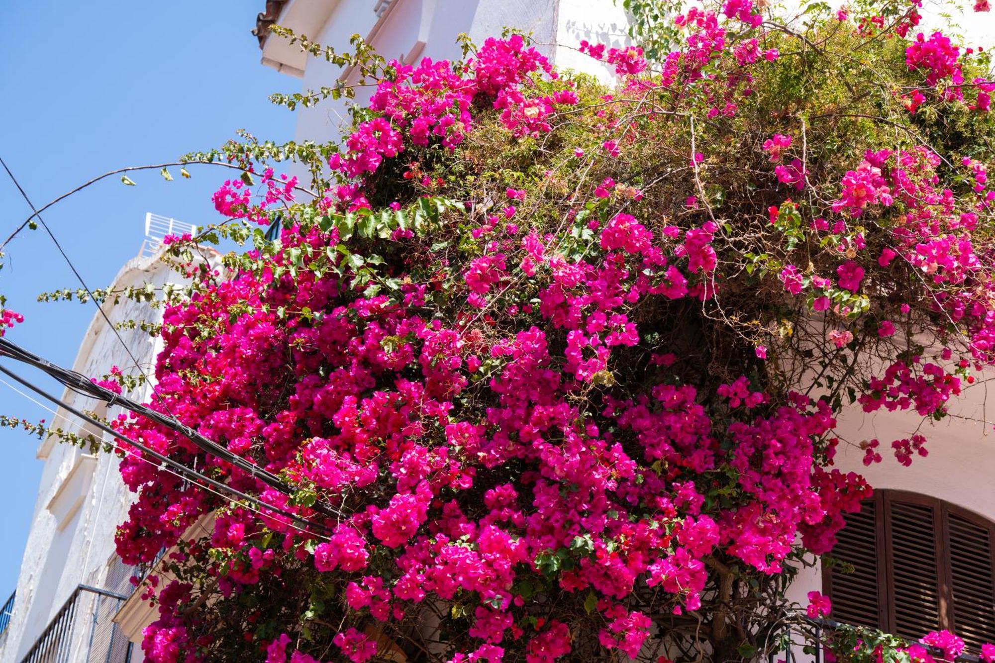 Marbella Luxury Duplex 106 Close To The Beach Eksteriør billede