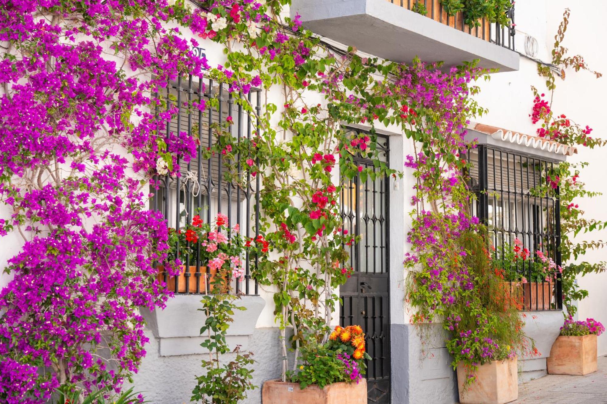 Marbella Luxury Duplex 106 Close To The Beach Eksteriør billede